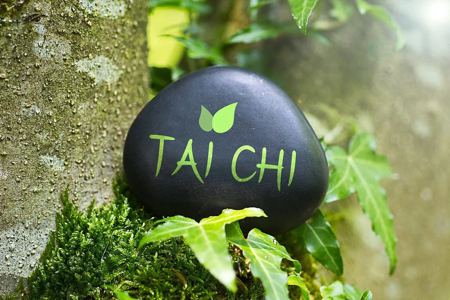 Tai Chi image